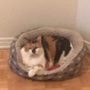 Meet your Posher, Jo